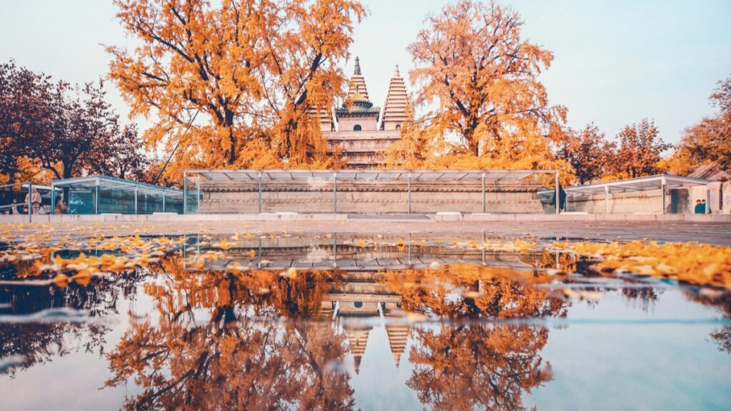 How Turkmenistan LinkedIn bloggers can collaborate with Canada advertisers in 2025