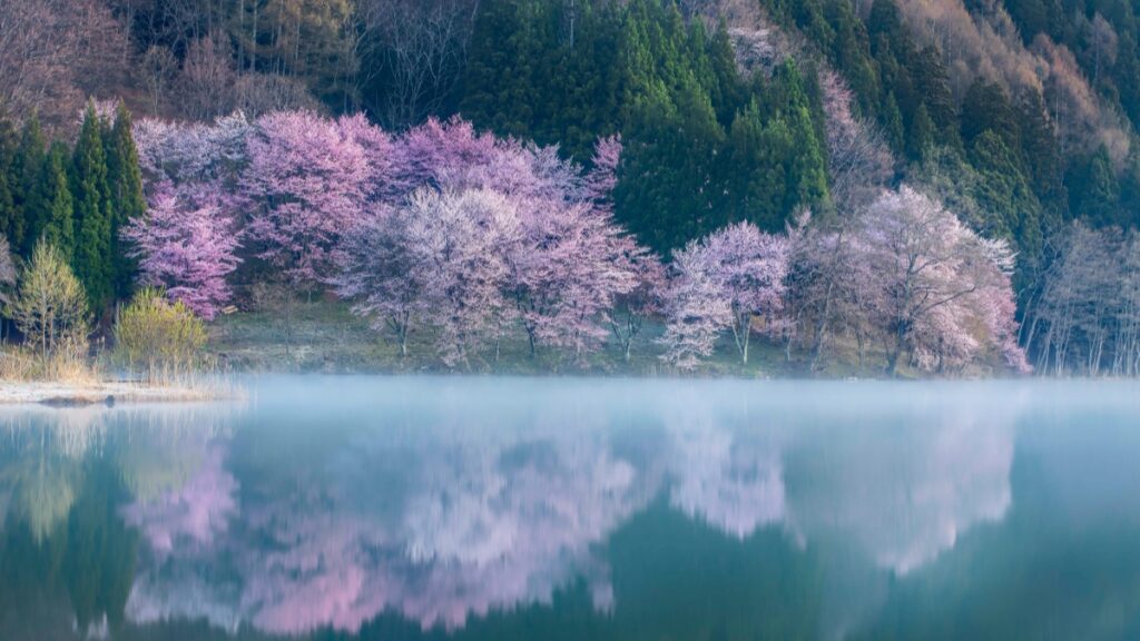 How Turkmenistan Twitter bloggers can collaborate with Norway advertisers in 2025