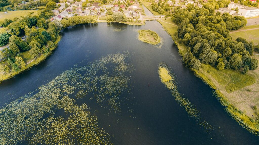 How Turkmenistan Telegram bloggers can collaborate with Canada advertisers in 2025