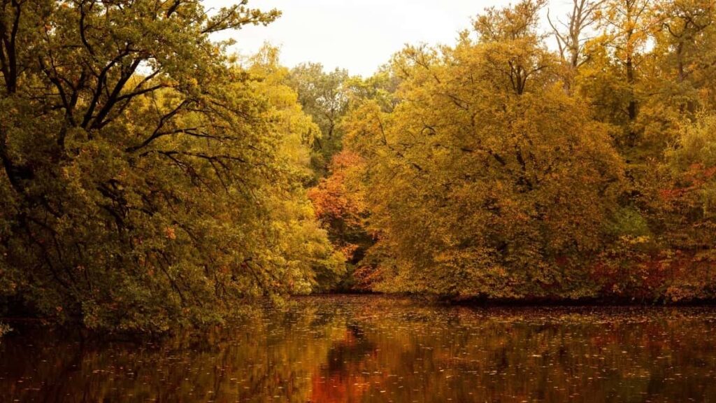 2025 Belarus Instagram reklama bahalary we Turkmenistanda media satyn alyş