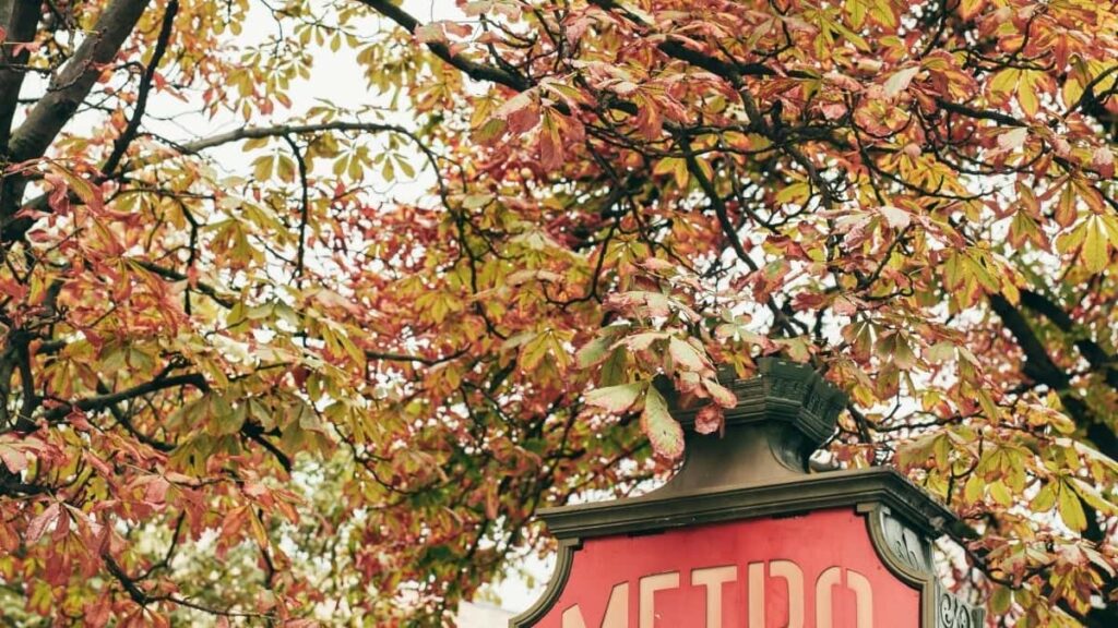 2025 Uzbekistan Telegram ähli kategoriýaly reklamanyň nyrhlary