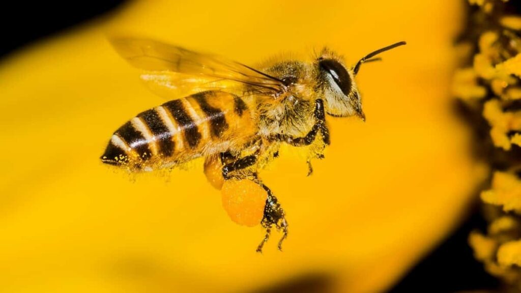 2025 South Korea Facebook AllCategory Advertising Rate Card Türkmenistanda