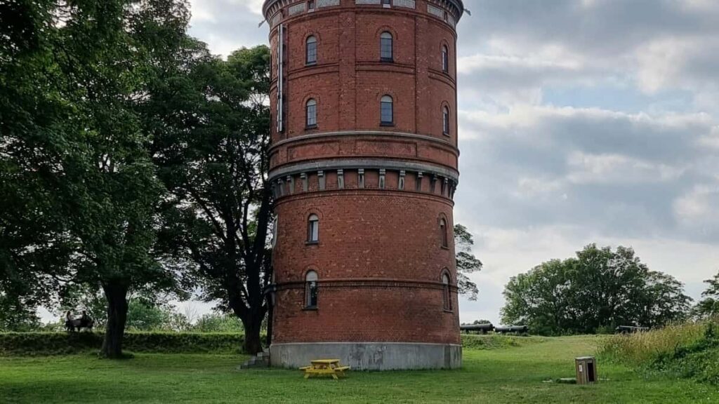 2025 Amerikanyň Birleşen Ştatlary YouTube Täjirçilik Bahalary Gollanmasy