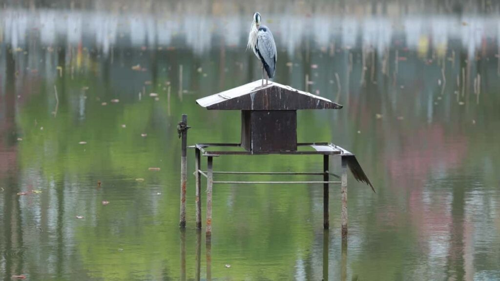 2025 Polşa Pinterest ähli kategoriýaly reklamalar bahalary we Türkmenistan üçin düzgünler