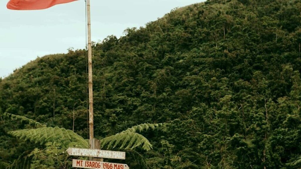 2025 Norwegiýanyň Twitter giňişleýin reklam nyrh kartasy