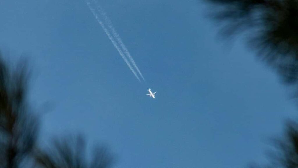 2025-nji ýylda Russiýa Instagram ähli kategoriýalary boýunça mahabat nyrhlary