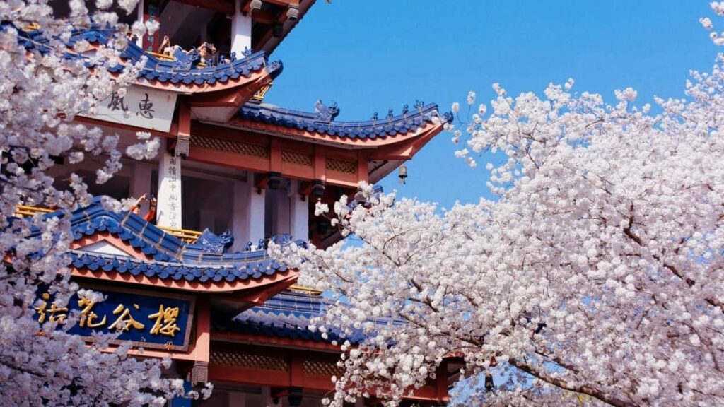 2025 Polşa Twitter Reklama Baha Kartasy we Türkmenistan Täzelikleri