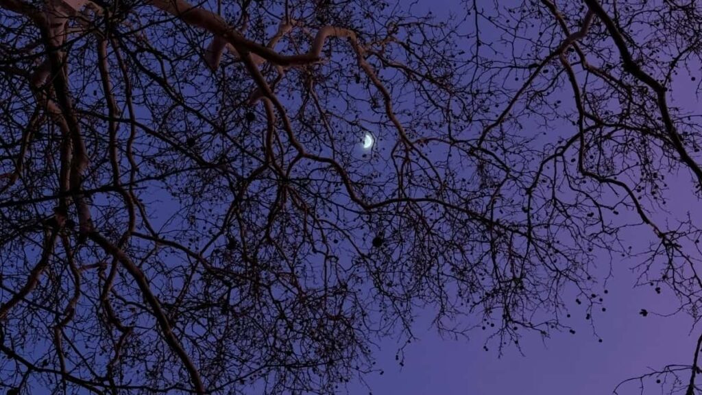 2025 ABŞ TikTok Täze Reklama Baha Kartasy Türkmenistandan