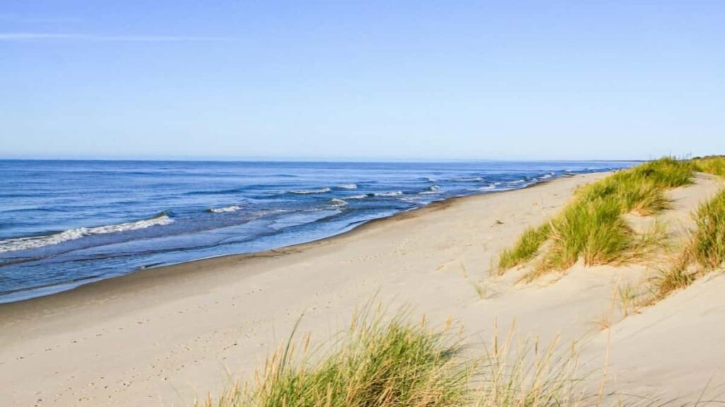 2025 Brazil TikTok ähli kategoriýaly mahabat nyrhlary we Turkmenistanda ulanylyşy