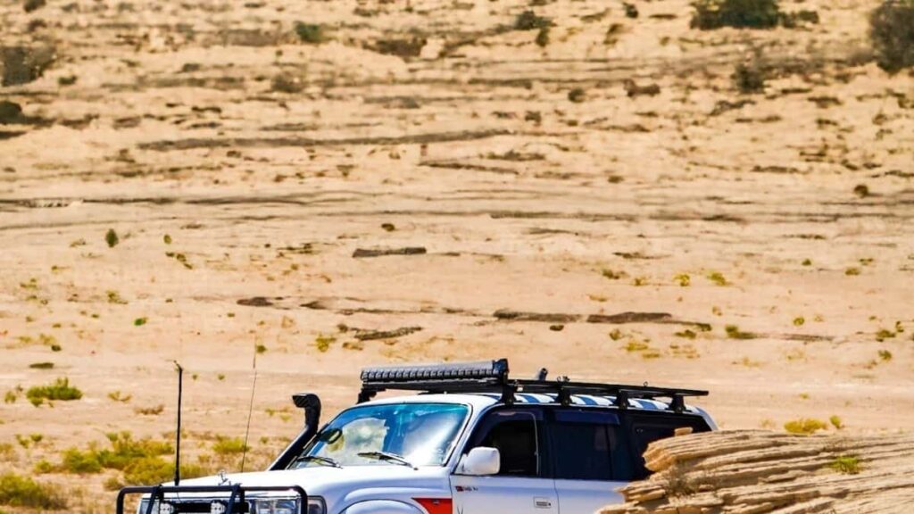 2025 Şwesiýa Twitter Reklama Baha Kartasy Türkmenistandan Közýetim bilen