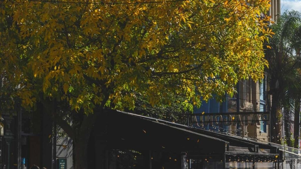 2025 Japan Instagram Ähli Kategoriýaly Reklama Bahalary we Turkmenistandan Talyplar