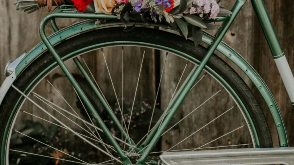 2025 ABŞ SNAPCHAT REKLAMA NARHLARY WE TÜRKMENISTANDA ÝÖRÜRLILIGI