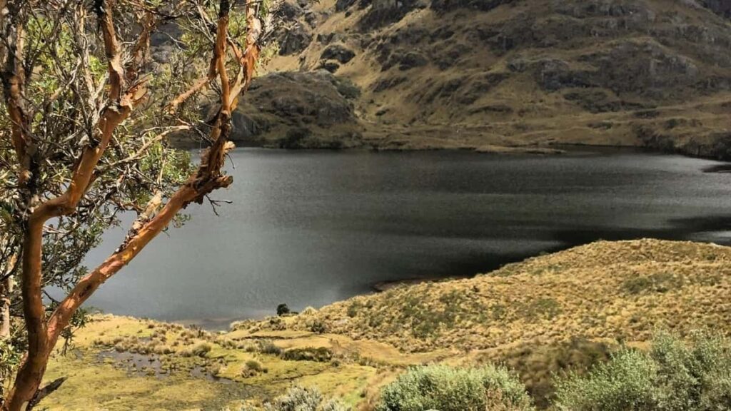 2025 Hindistanda LinkedIn Üpjünçilik Baha Kartasy we Türkmenistan Täzelikleri