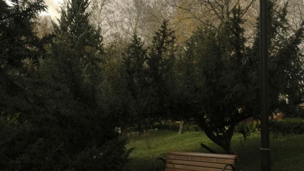 2025 Belarus LinkedIn Bölekleýin Reklama Nyrh Kartasy Türkmenistandan Görnüş