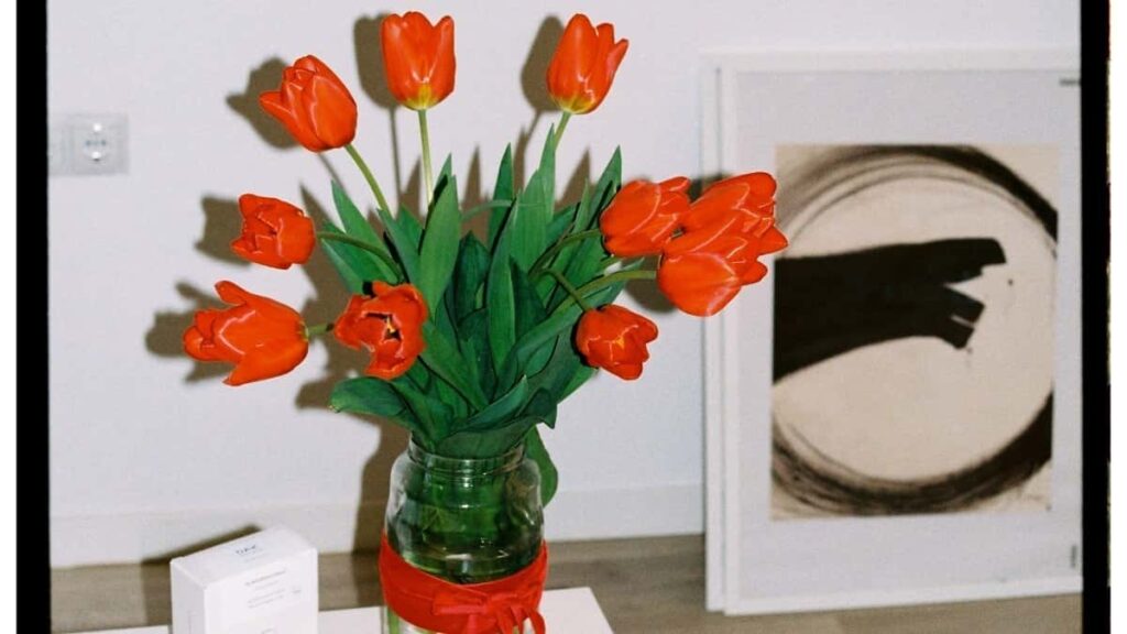 2025 Birleşik Patyşalyk TikTok Täjirçilik Bahalary Sanawy