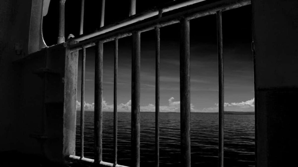 2025 Ýran TikTok Täjirçilik Nyrhlary we Türkmenistandaky Marketing