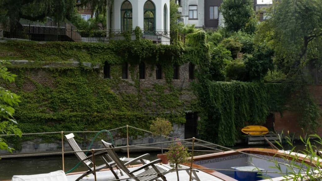 2025 Braziliýa Telegram Reklama Bahalary we Turkmenistan Bazary