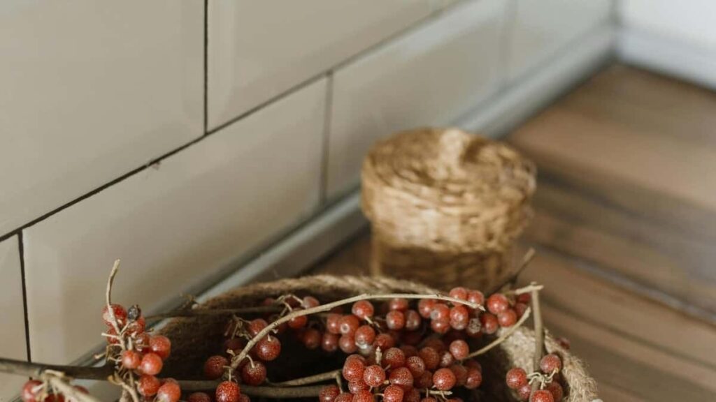 2025 Norwegiýanyň TikTok Täze Reklama Nyrhlary Türkmenistan üçin