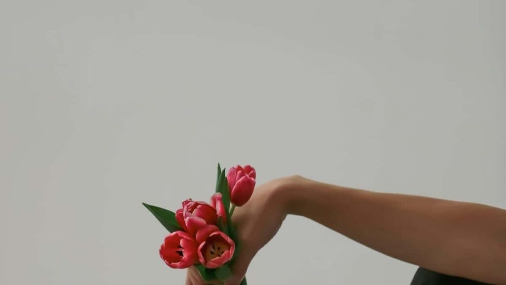 2025 Japoniýada LinkedIn Üpjün Edilýän Reklama Bahalary