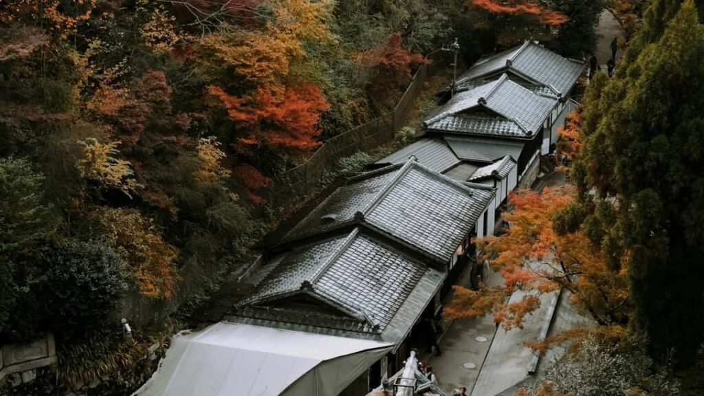 2025 Birleşik Patyşalyk YouTube Işjeň Reklama Bahalary