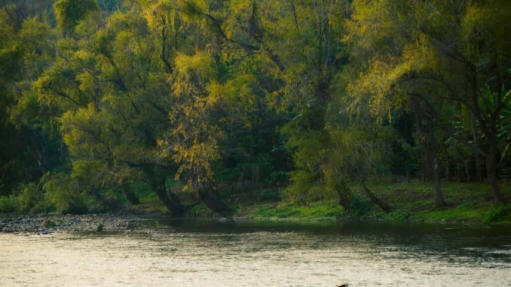 2025 Türkmenistanda WhatsApp Üýtgeşik Reklama Nyrhlary Kartasy