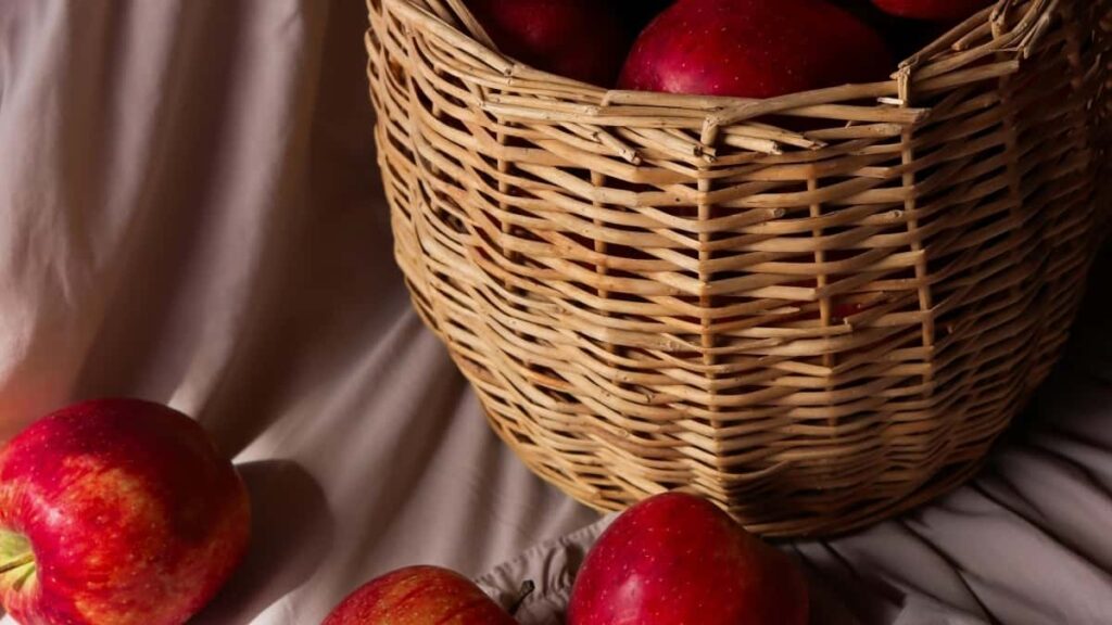 2025 United Kingdom YouTube Töleg Kartasy we Turkmenistanda Täzelikler