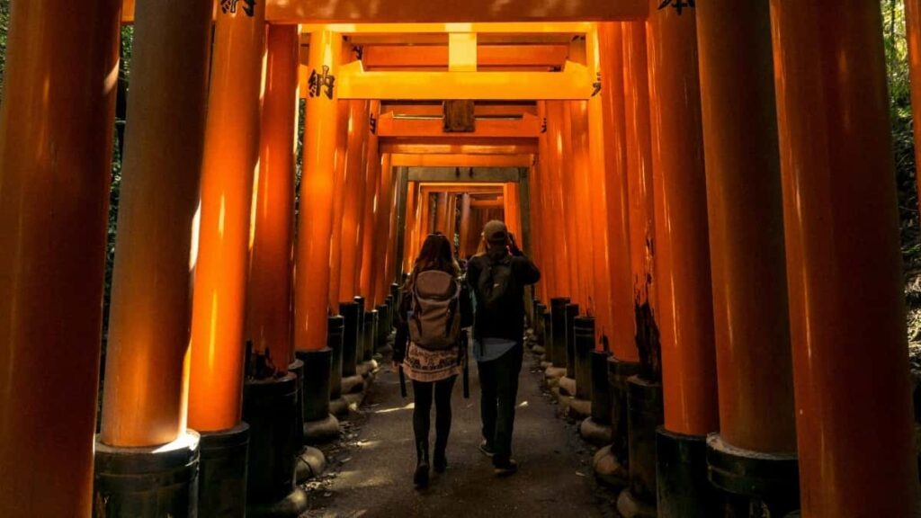 2025-nji ýylda Germaniýada Instagram ähli kategoriýalar üçin reklamanyň nyrhlary