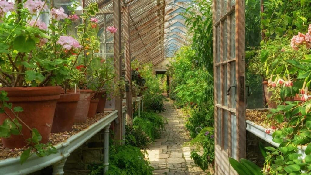 2025 Birleşen Arap Emirlikleri Twitter Reklama Nyrh Kartasy