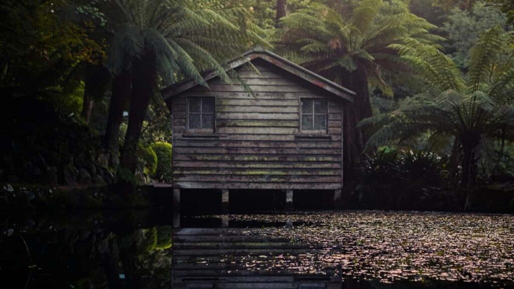 2025 Türkmenistanda TikTok Täjirçilik Reklam Bahalary We Strategiýalary