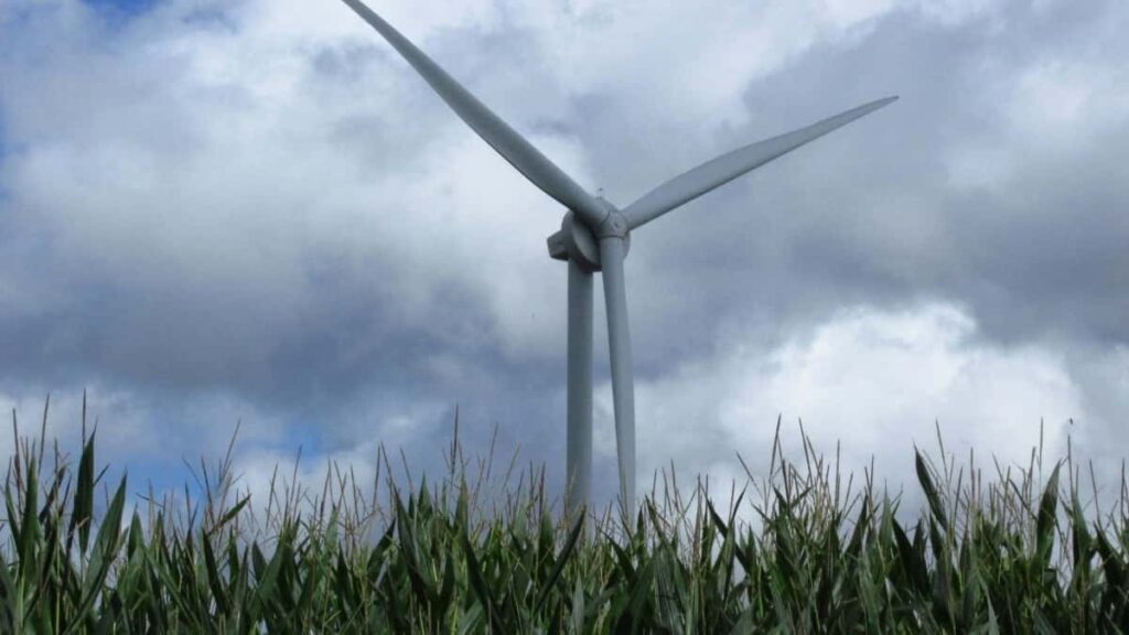 2025-nji ýylda Şweýsariýanyň WhatsApp boýunça ähli kategoriýaly reklamalarynyň nyrhlary