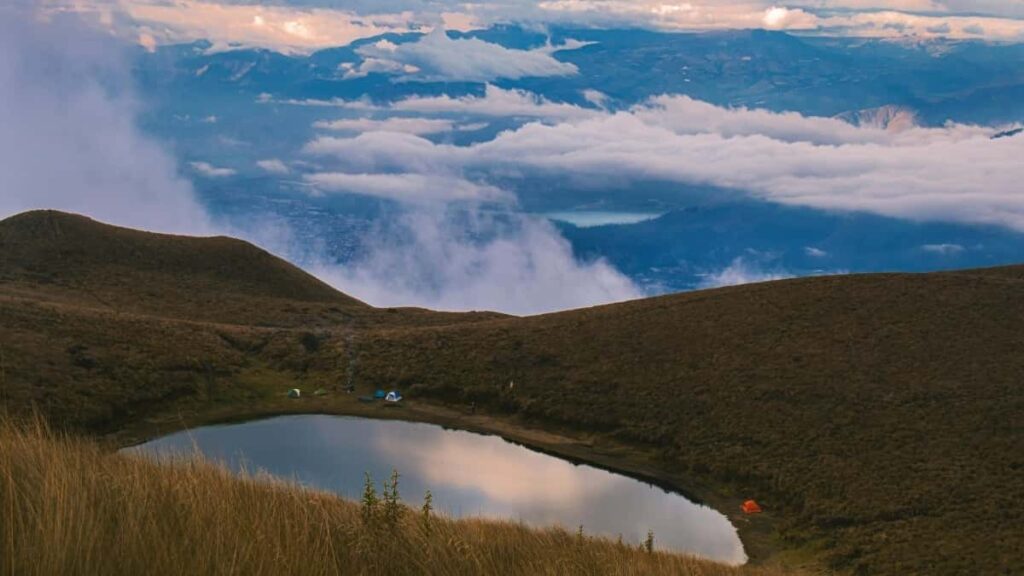 2025 Germany YouTube Reklama Bahalary we Türkmenistandan Strategiýalar