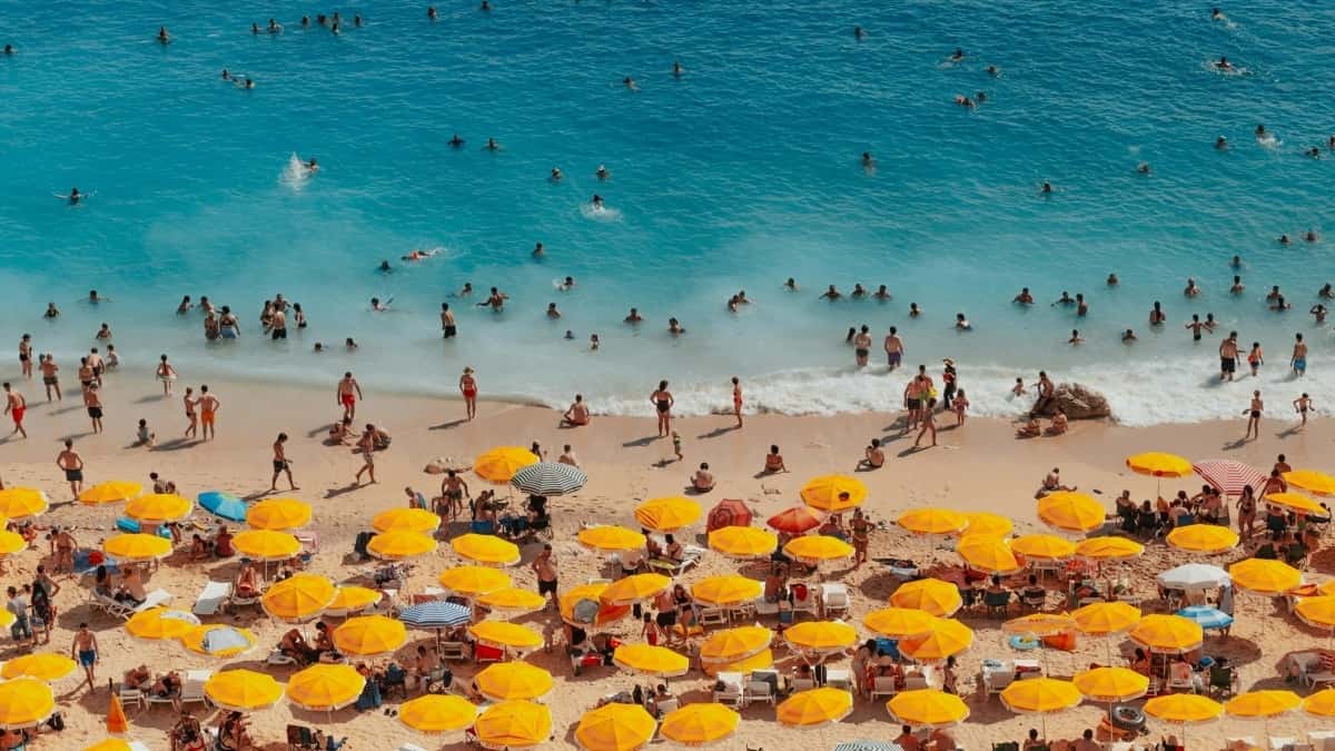 2025 Kanadada Instagram ähli kategoriýaly reklamanyň baha kartasy