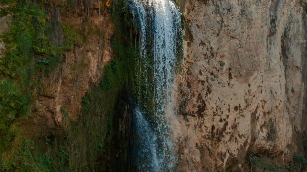 2025 Germaniýanyň WhatsApp Reklam Bahalary we Türkmenistanda Marketing