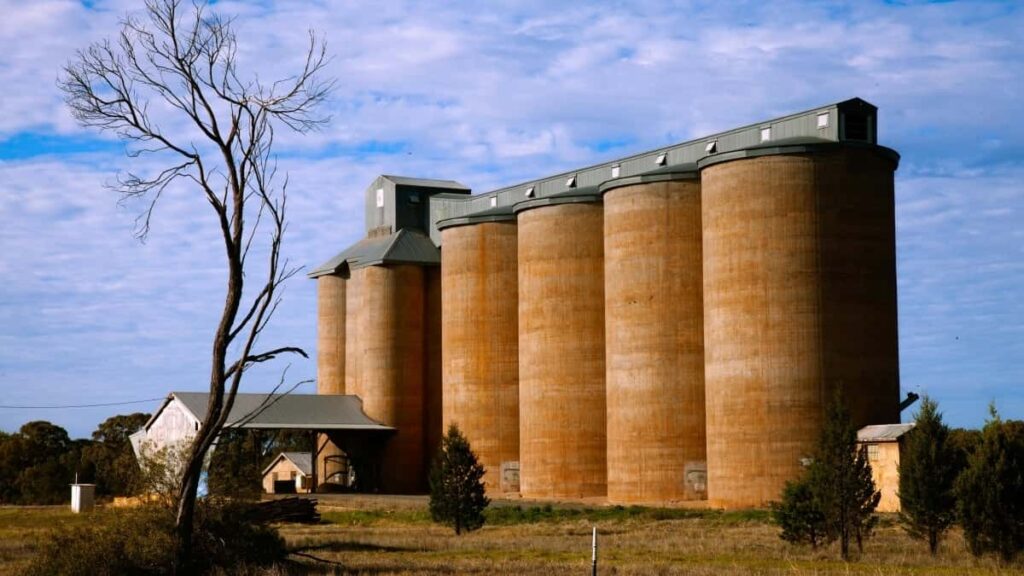 2025 Türkmenistanda TikTok Täjirçilik Reklam Bahalary Kartasy