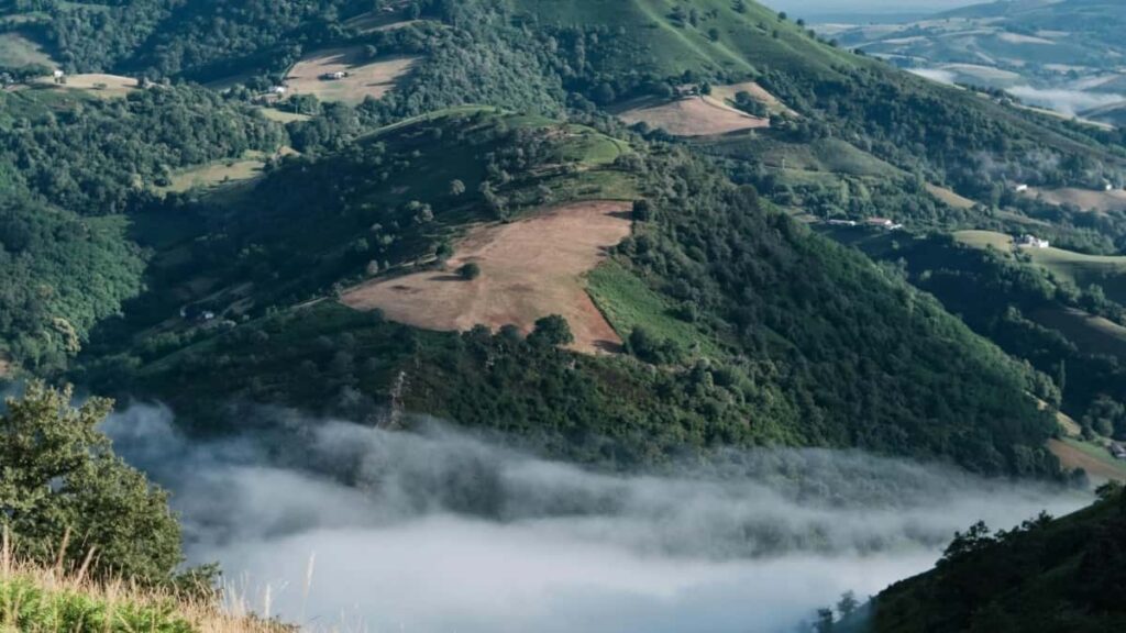 2025 Şweýsariýa Telegram Toparlary Reklama Nyrhlary Kartasy