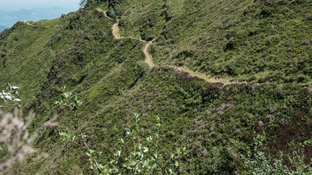 2025 Braziliýanyň TikTok Täze Reklama Nyrhlary we Türkmenistandaky mümkinçilikler