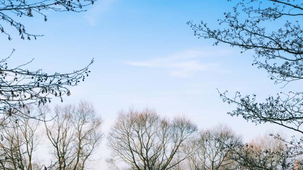 2025 Испаниýanyň WhatsApp ähli kategoriýaly reklamasy nyrhlary