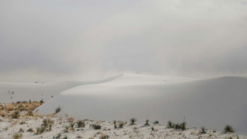 2025 Gazagystan YouTube Hemme Kategoriýa Iklan Nyrh Kartasy