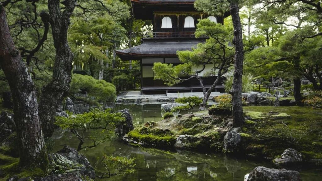 Bangladeshli Douyin döredijileri üçin mahabat ýazgylaryny nädip üstünlikli neşir etmek we girdeji gazanmak.