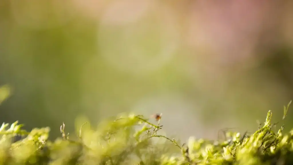 Finlanda Discord platformasynda döredijilere estetiki surat toplumy döretmegiň usullary we tejribeleri barada anyk maglumatlar.