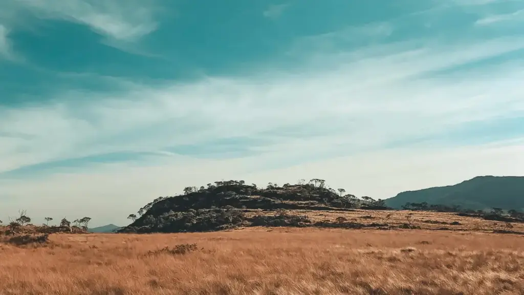 Pinterest we Serbiýaly döredijiler üçin ýeňil deňeşdirme mazmunyny nädip öndürmeli we peýdaly bolmaly.