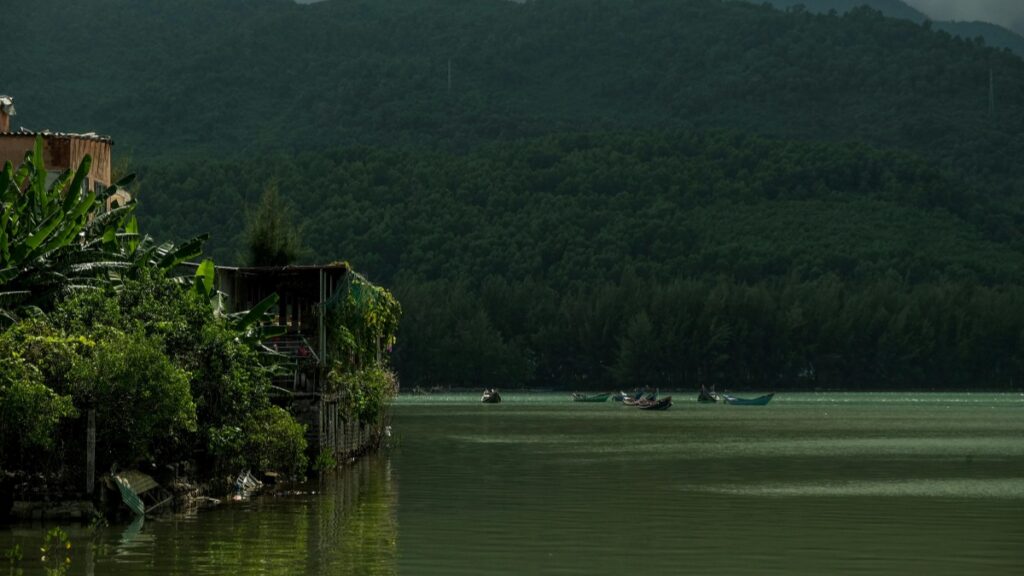 Shopee we Ecuadorda brendleriň sosial mediada sponsorlyk postlary arkaly nädip üstünlik gazanyp bolýandygy barada ýerli analiz.