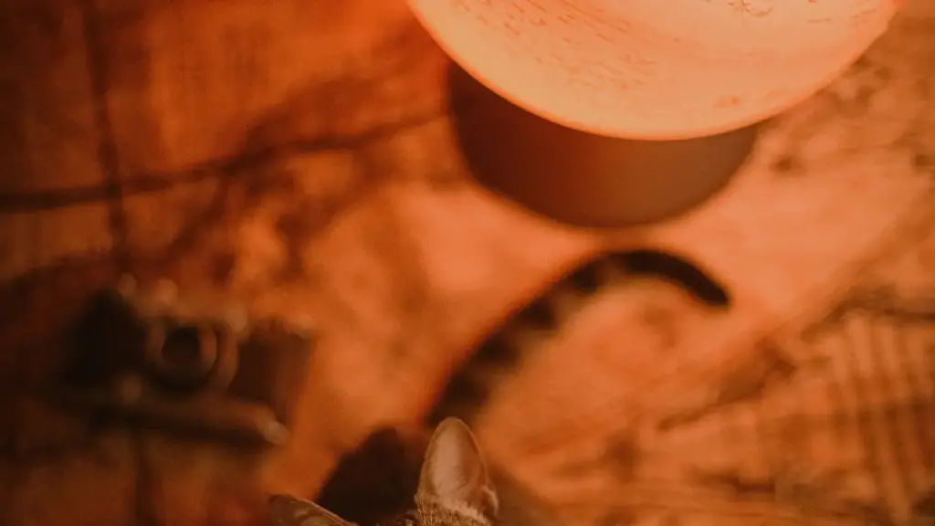 Turkmen markalary üçin Awstriýa WeChat täsir edijilerini tapmagyň strategiýasy: nädip tassyklamak, hyzmatdaşlyk formatlary we sezonlyk moda trendlaryny görkezmek.