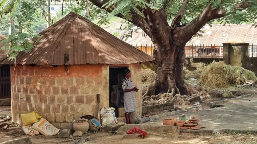 Dominikana brendleri bilen YouTube-da gatnaşygy ösdürmegiň täsirli usullary we täze tomaşaçylara ýetmegiň ýollary.