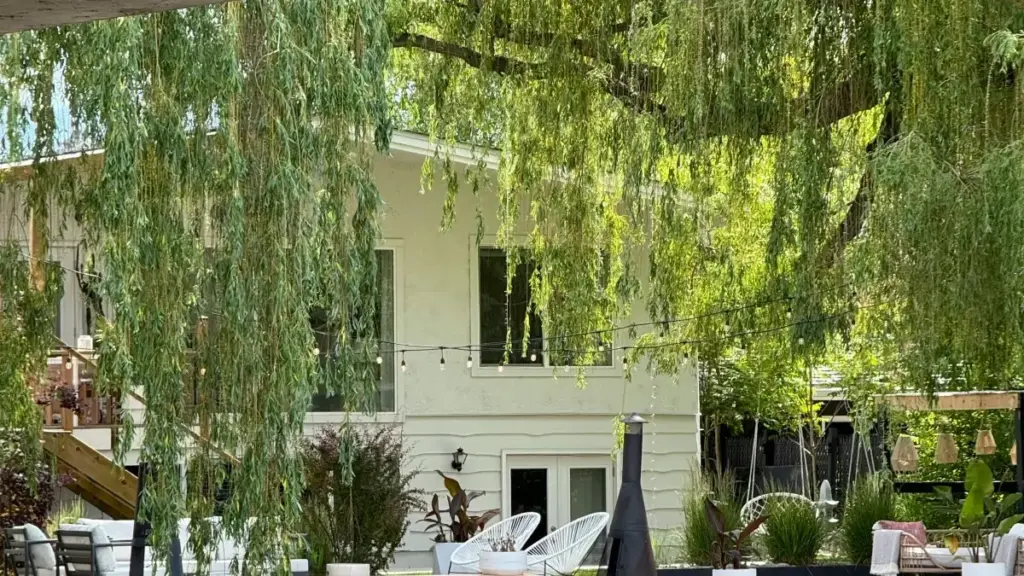 Kanada Douyin kreatorlaryny tapmak we olary app ýüklenmelerine öwürmek üçin praktiki ýolhojalygy we strategik maslahatlar.