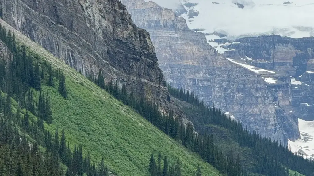 Egypt Rumble creatorlaryny Türkmenistanda nädip tapmaly: platforma strategiýasy, konkrelt ädimler we reklama üçin praktiki taktikalar.