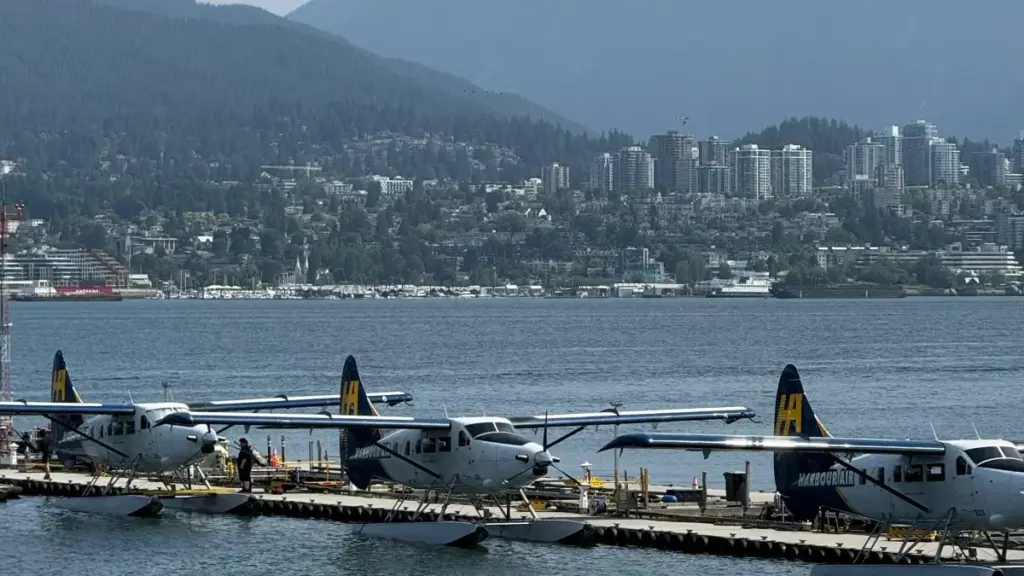 Turkmen reklamaçylary üçin praktiki gollanma: Izraildeki Zalo kreatorlaryny tapmak, partnerlik gurmak we syýahat ýeriňiziň onlaýn görünüşini artdyrmak üçin ädimler.
