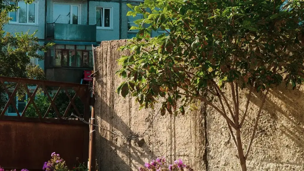 "Malaysiýa degişli Hulu mazmunyny ulanýan döredijileri tapmak we siziň önümiňizi olaryň hödürlemesi arkaly aýdyň görkezmek üçin praktiki, ýerli strategiýalar we mysallar."