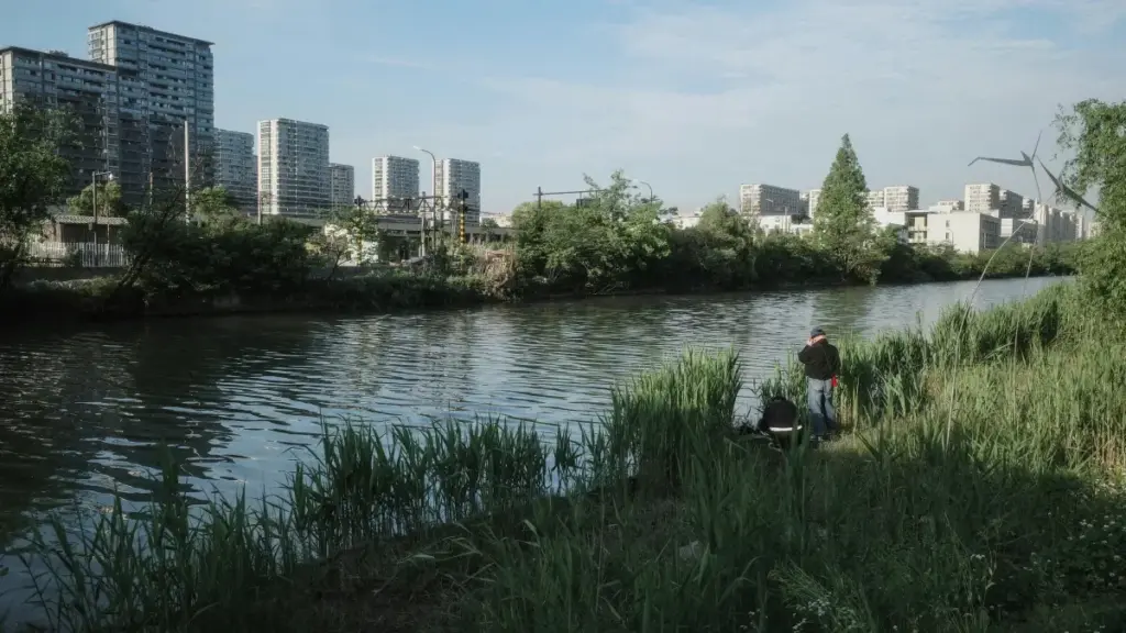 Jingdong platformasynda Iraqdaky fitness enjamlary brendlerini tapyp, synlamak üçin gerekli ädimler.