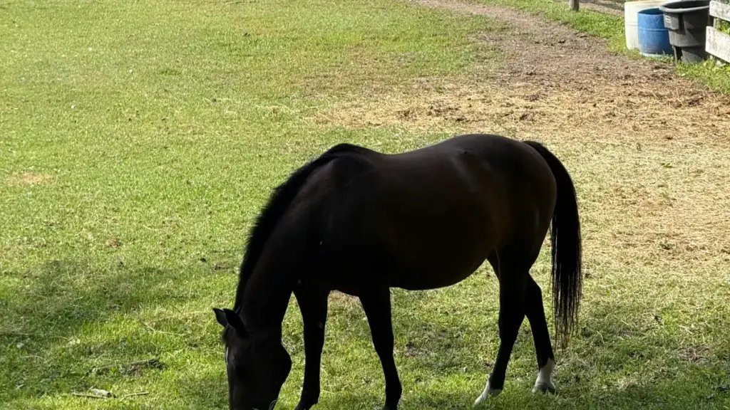 Panama Snapchat döredijilerini tapmak we online okuw platformalaryňyzy mahabat etmek üçin gapma-garşy we howpsuz strategiýalar.